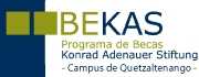 Bekas